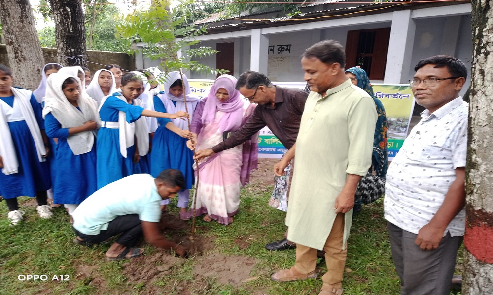 ওয়ান চাইল্ড ওয়ান ট্রি